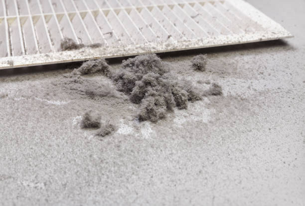Best HVAC Duct Inspection Services  in Sylvan Lake, MI